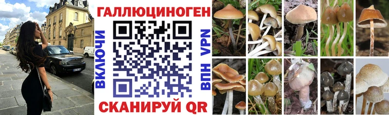 Псилоцибиновые грибы GOLDEN TEACHER  купить   shop Telegram  Ипатово 